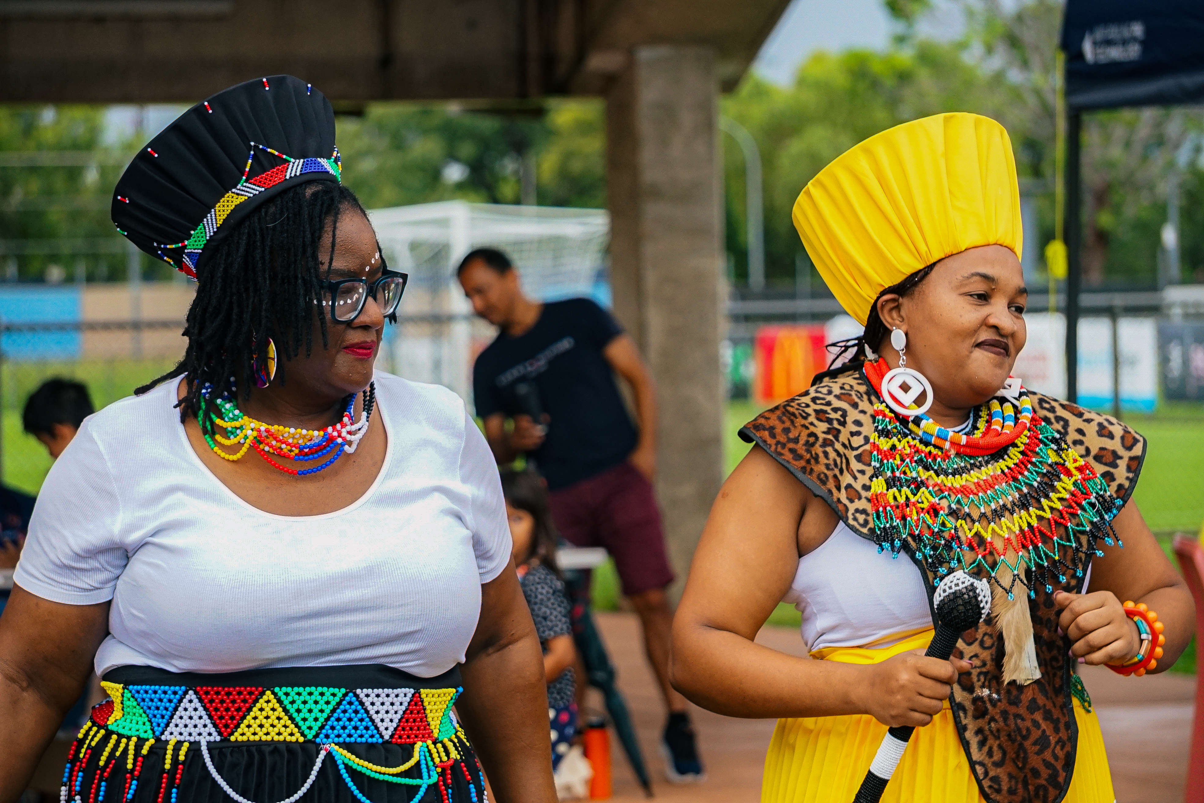 Cultural Capture